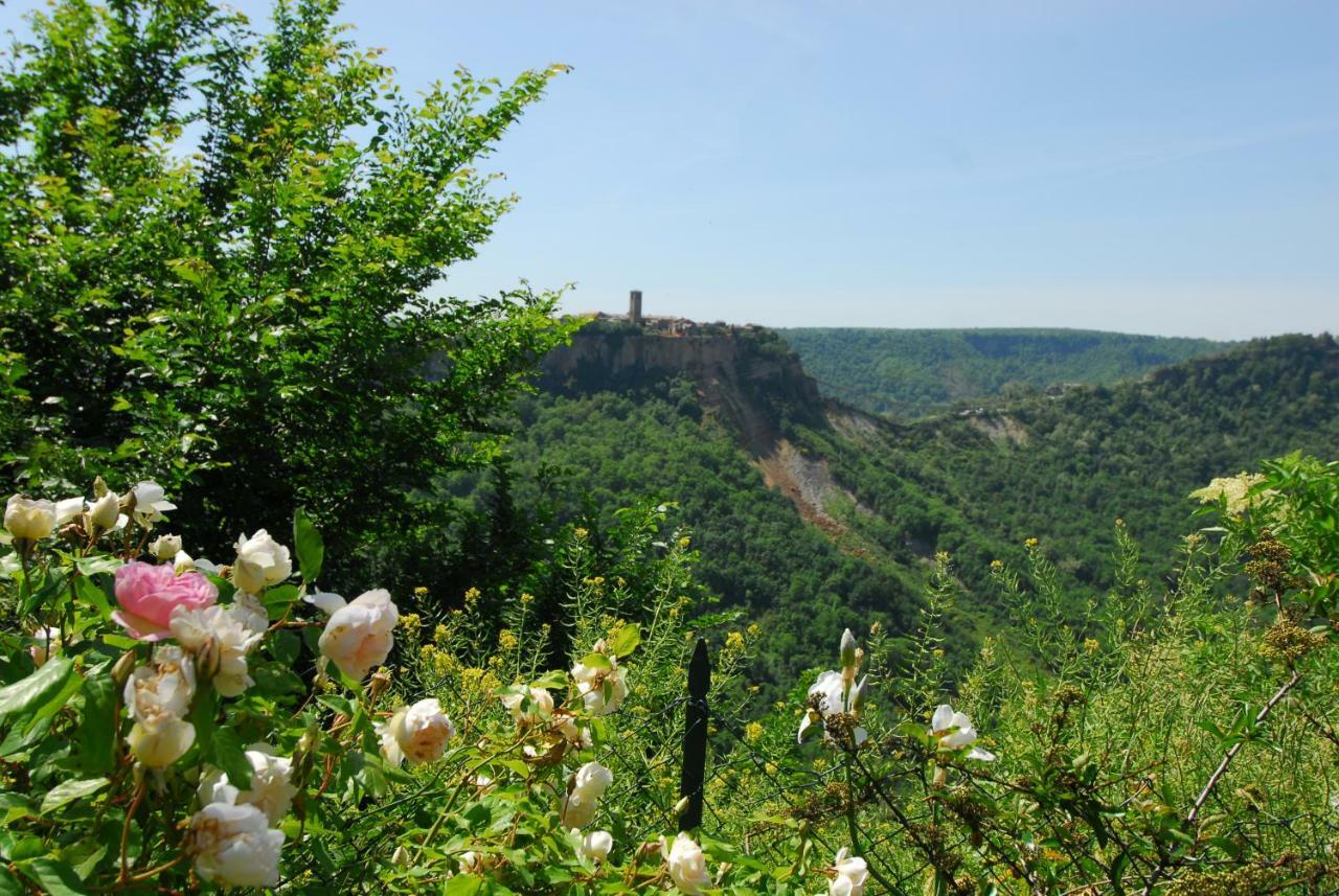 Casa Con Vista Mozzafiato Su Civita Di Bagnoregio Villa Lubriano Kültér fotó