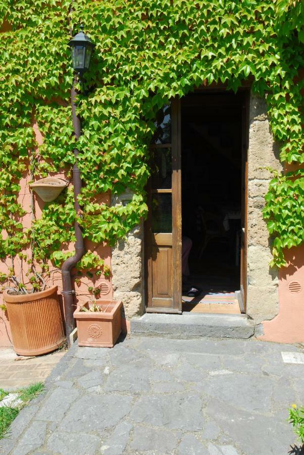 Casa Con Vista Mozzafiato Su Civita Di Bagnoregio Villa Lubriano Kültér fotó